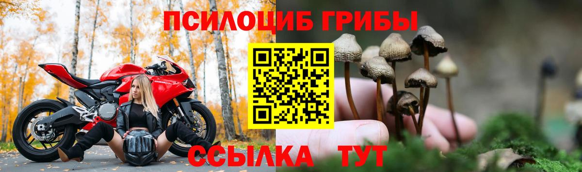 Псилоцибиновые грибы ЛСД Бийск